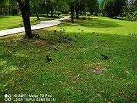 It is a small suburb bounded by the national sports complex on the east, the shah alam expressway on the north, city boundaries. Taman Rekreasi Bukit Jalil Kuala Lumpur 2021 All You Need To Know Before You Go With Photos Tripadvisor