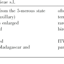 Image result for Conostomium zoutpansbergense