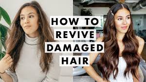 Dry hair leads to broken hair. How To Fix Damaged Hair Youtube