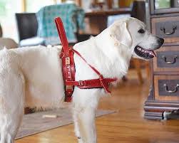 Service Dog Harness In Brown Leather With Custom Handle For Mobility Dogs Full Adjustable Working Dog Harness Dog Harness Service Dog Vests Aggressive Dog