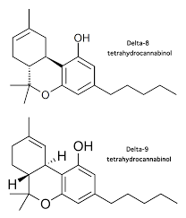 The standard thc everyone talks about is called. Delta 8 Thc How The Less Potent Weed Cannabinoid Is Legal Rolling Stone
