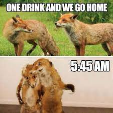 One Drink Go Home Foxes Funny Drinking Memes Humor Inappropriate Funny Animal Pictures