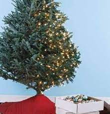 The One Mistake You Re Making When Decorating Your Christmas Tree Christmas Tree Lighting Christmas Decorations Christmas Lights