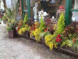 Water wise plants will need additional water for the first two years. Vale S Greenhouse Black Diamond Alberta Your Southern Alberta And Calgary Area Gardening Specialists Featuring Hardy Southern Alberta Perennials And Shrubs For The Chinook Zone