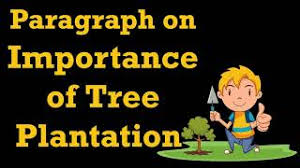 Importance of tree plantation can not be described in words as trees play so many important roles in our life. Short And Long Paragraph On Importance Of Tree Plantation