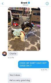 We did not find results for: There S Been A Glorious New Twist To The They Re Good Dogs Brent Meme