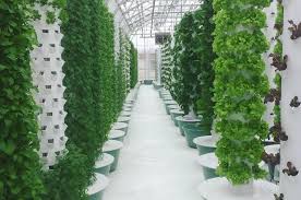 Tower Garden Growing System Molecule Design Online
