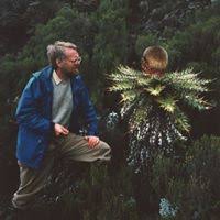 Image result for Ixora kalehensis