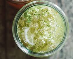 Rezepte Mit Wasserkefir X2f Japankristallen Kombucha Und Kefir Infoportal Fur Kombucha Pilz Teepilze Japankristalle Wasse Wasserkefir Kefir Kombucha Pilz