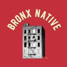 40 Best Bronx Native Photography Images Photography