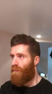 Flickr Beard Power Thedailybeard Gingerdamous Just Got A Haircut I Haven T Touched The Top Since I Ve Been In Red Beard Beard Life Beard No Mustache