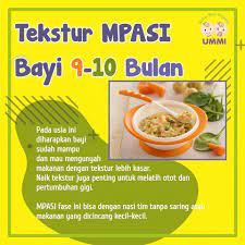 Untuk bayi usia 6 bulan, 7 bulan sampi 8 bulan sebaiknya buat makanan bayi yang sederhana dulu. Facebook