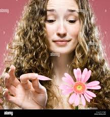 Counting daisy petals he loves me hi-res stock photography and images