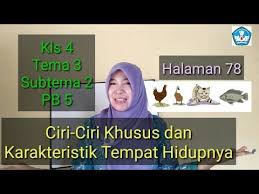 Di alam, ikan lele memijah pada musim penghujan. Ciri Ciri Khusus Dan Karakteristik Tempat Hidupnya Kls 4 Tema 3 Subtema 2 Pb 5 Youtube