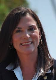 Dana Young for Florida Senate?