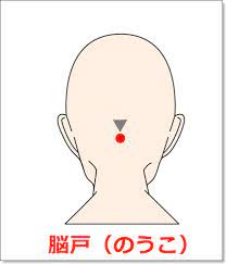 もくじ クリックで飛びます てんかんのツボはこちら脳戸 のうこ の位置 画像解説 はこちらてんかんのツボは1日に何回するといいの てんかん のツボは どれくらい続けると効果あるの てんかんのツボは効果あるの てんかんの原因 ツボ てんかん セルフケア