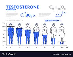 Decreasing Chart Of Male Hormone On White