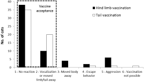 Do cats really need an fvrcp vaccination? Https Sheltermedicine Vetmed Ufl Edu Files 2013 10 Tail Vaccination Cats Jfms Hendrix Levy Pdf