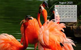 July august 2021 calendar printable in editable & printable format is provided here. August 2021 Calendar Wallpaper