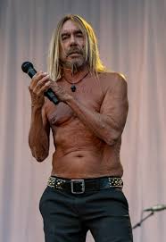 Iggy pop loves to twerk around his house with his wife when a good song is played on the radio. Iggy Pop Height Weight Age Spouse Children Family Facts Biography