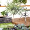 In this video i will be showing you 6 aspects to take into account to take care of or before buying your olive tree. 1