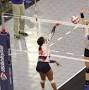 How much does a Volleyball Net cost from www.sportsimports.com