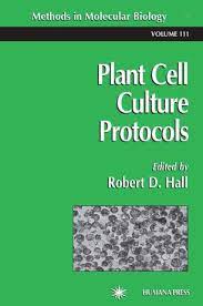 We did not find results for: Plant Cell Culture Protocols Springerlink