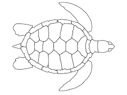 Coloring page with coral reef with turtle and other. Free Printable Turtle Coloring Pages For Kids Turtle Coloring Pages Turtle Outline Turtle Coloring Page