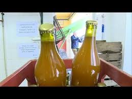 Tendance Recolter Ses Pommes Et Faire Produire Son Jus De Fruit Youtube
