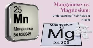 Image result for Magnesium