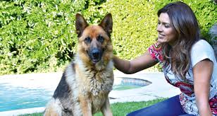 Born in santiago, chile, on february 26, 1972, ivette vergara is best known for being a tv show host. Entrevista A Ivette Vergara Y Amy