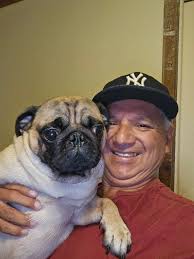 Good morning Yankee fans let's go Yankees 🇺🇲