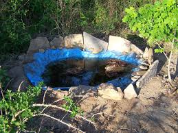 Check spelling or type a new query. How To Make A Bog Garden Frugal Gardening Momma