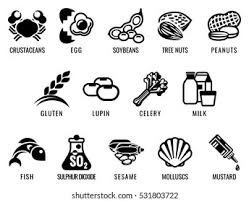 Examples of foods containing the 14 allergens 15. Food Allergy Icons Including 14 Food Stock Illustration 531803722