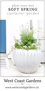 Create A Soft Spring Container Garden For Your Patio Container Gardening Flower Pot Design Container Garden Design