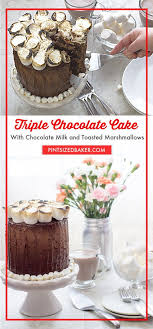 Triple Chocolate Cake Pint Sized Baker In 2020 Yummy Easter Desserts Triple Chocolate Cake Chocolate Dessert Recipes