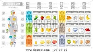 balance diet vector photo free trial bigstock