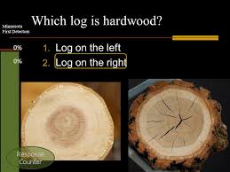 One of the most common figure patterns is curl (curly koa image 1). What S In That Woodpile Firewood Identification Ppt Video Online Download