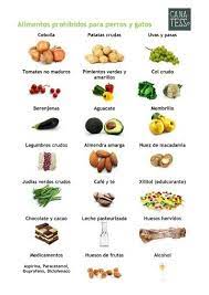 Alimentos Prohibidos Para Perros Alimentos Prohibidos Para Perros Recetas De Comida Para Perros Alimentacion Perros