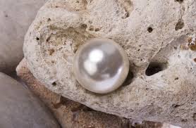 The Remarkable South Sea Pearl Sizes Tps Blog