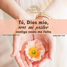 We did not find results for: El Senor Es Mi Pastor Arcoiris De Promesas