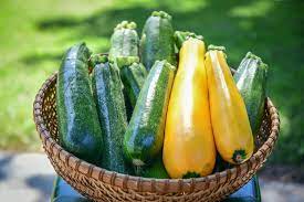 But most people aren't willing to sacrifice the yield (by picking while they are very small) unless they plan to eat them fresh from the garden. How To Freeze Summer Squash Best Way To Freeze Raw Summer Squash