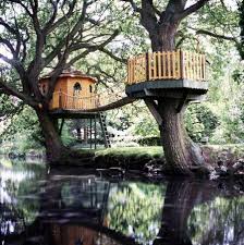 Tree houses have come a long way from the childhood forts that provided sanctuary against the great cooties outbreak of the '90s. 4hhgwve5lqjjkm