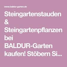 Verschönern sie ihren garten mit. Steingartenstauden Steingartenpflanzen Bei Baldur Garten Kaufen Stobern Sie Jetzt Durch Unser Angebot Und Entdec Steingartenpflanzen Gartenpflanzen Pflanzen