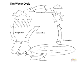 Simple Water Cycle Coloring Page Free Printable Coloring