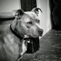 Profile Picture of Clint hinthorn (hinthornc) - Profile - Pinterest (@pinterest.com) on Google