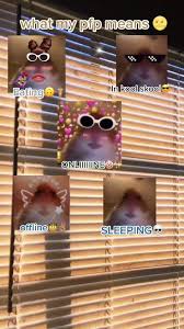 Pfp meaning on text messages. Fidgets Hashtag Videos On Tiktok