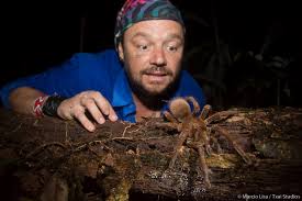 Tarântula, aranha teia de viveiro. Bom Dia Essa E A Aranha Golias Richard Rasmussen Facebook