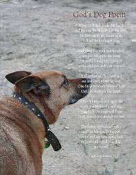 God S Dog Poem By Diana Lee Saville Dog Poems Dogs Dog Quotes