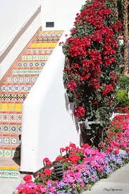 Pin By Frugelegance On Outdoor Living Frugelegance La Quinta Resort Backyard Front Yard
